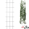 Στήριγμα φυτών - καφασωτό κήπου 150 x 45cm - 9 