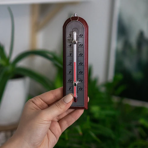 Θερμόμετρο δωματίου με ασημένια κλίμακα (-10°C έως +50°C) 16 cm ποικιλία - 4