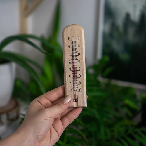 Θερμόμετρο δωματίου με σχέδιο (-20°C έως +50°C) 15cm - 4