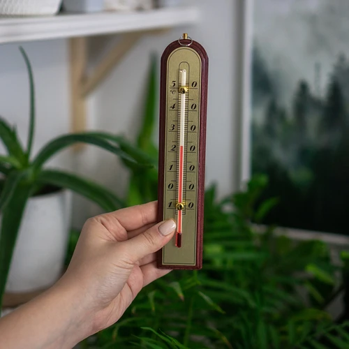 Θερμόμετρο δωματίου με χρυσή κλίμακα (-10°C έως +50°C) 22 cm, ποικιλία - 3