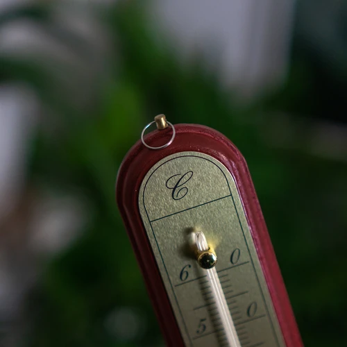 Θερμόμετρο δωματίου με χρυσή κλίμακα (-10°C έως +60°C) 28 cm ποικιλία - 7