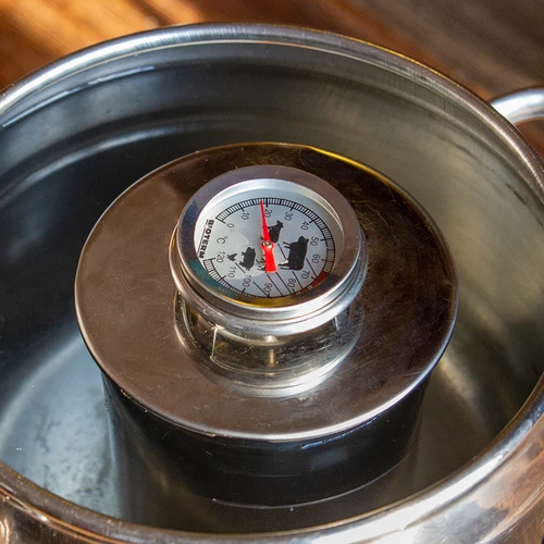 Θερμόμετρο για ψήσιμο κρεάτων (0°C έως +120°C) 12,5cm - 12