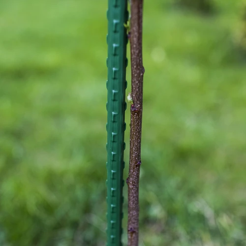 Ατσάλινος πάσσαλος με επικάλυψη PE 0,6 m x 8 mm - 3