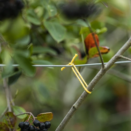 Βαμβακερός σπάγγος κίτρινος 2 mm/55 m/100 g - 7