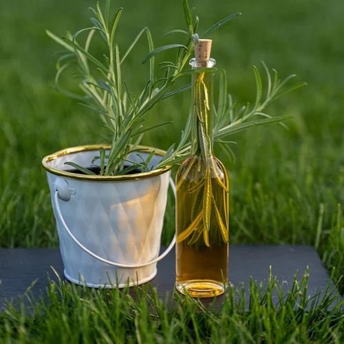 Μπουκάλι για λικέρ 100 ml 6 τεμ.+ 6 πώματα φελλού - 10