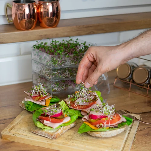 Σετ σπόρων για φύτρα - 10 συσκευασίες - 5