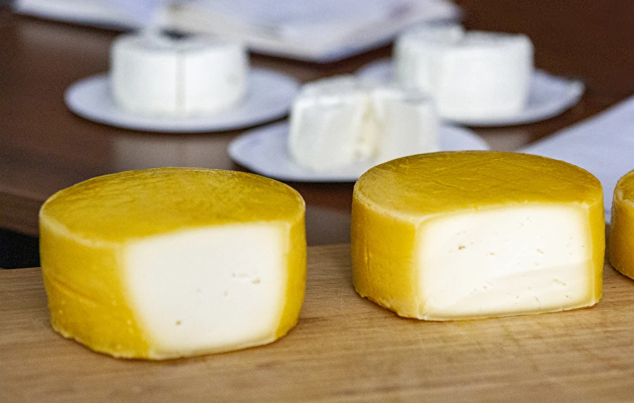Σπιτικό κίτρινο τυρί τύπου Gouda